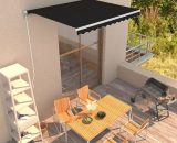Manual Retractable Awning 300x250 cm Anthracite - Hommoo DDvidaXL3051197_UK